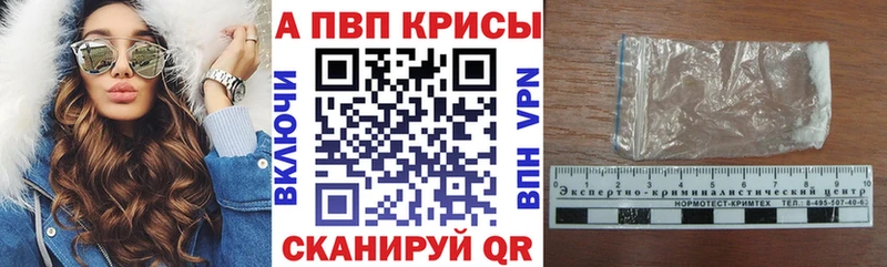 omg вход  Калининград  Альфа ПВП СК КРИС 