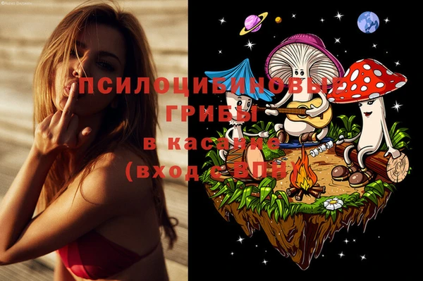МДПВ Алексеевка