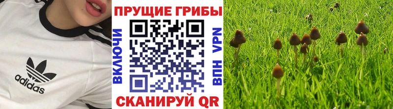мориарти какой сайт  Калининград  Псилоцибиновые грибы ЛСД 