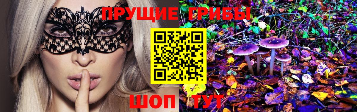 Галлюциногенные грибы GOLDEN TEACHER Калининград