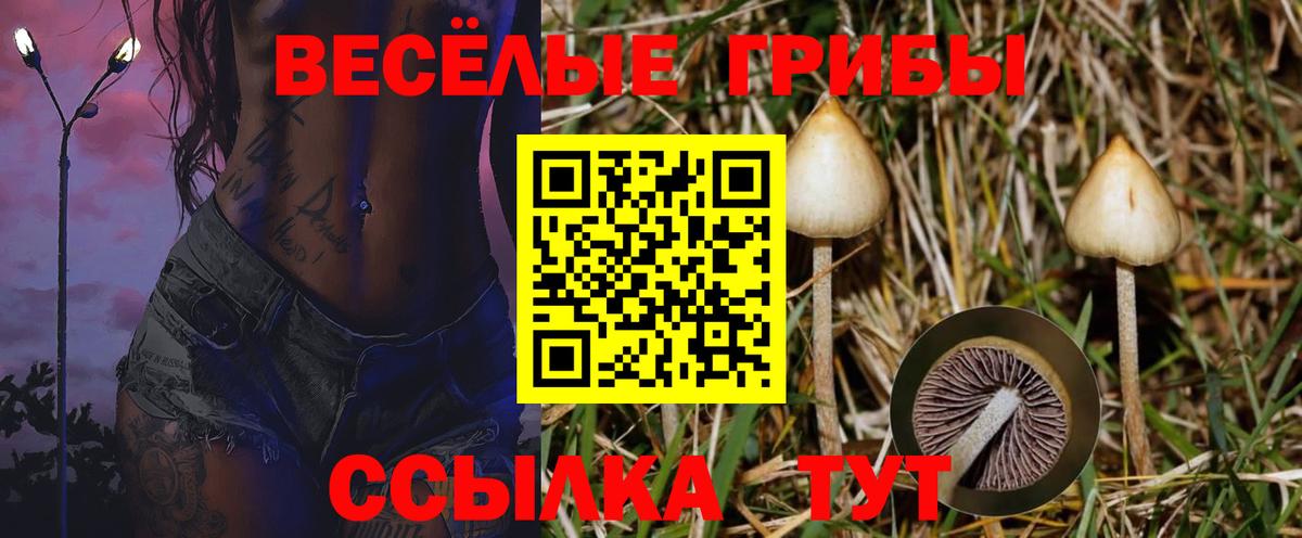 Псилоцибиновые грибы ЛСД  Вход с VPN  Калининград 